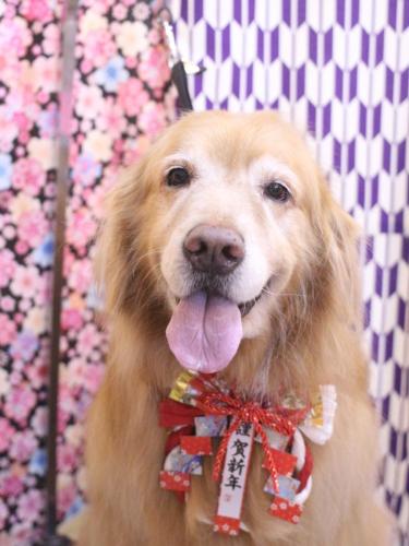 20250129五助くん